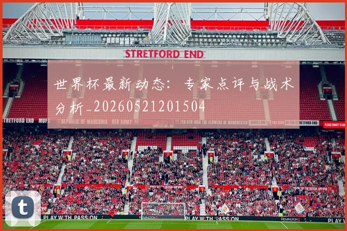 世界杯最新动态：专家点评与战术分析_20260521201504
