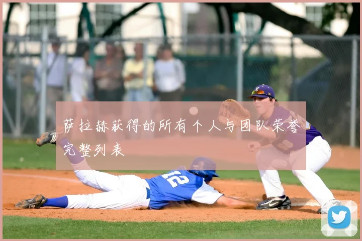 萨拉赫获得的所有个人与团队荣誉完整列表